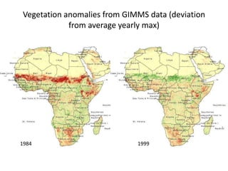 Spatio-temporal analyses of primary production