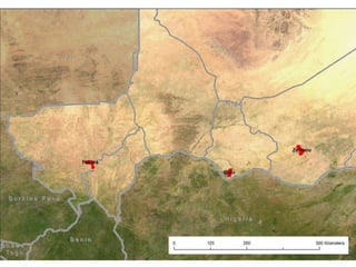 Spatio-temporal analyses of primary production