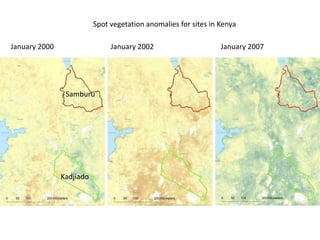 Spatio-temporal analyses of primary production