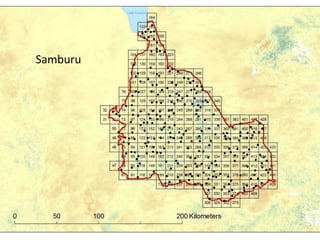 Spatio-temporal analyses of primary production