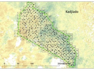 Spatio-temporal analyses of primary production