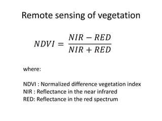 Spatio-temporal analyses of primary production