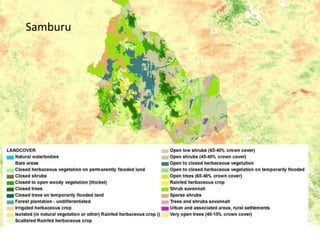 Spatio-temporal analyses of primary production