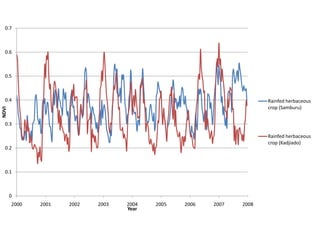 Spatio-temporal analyses of primary production