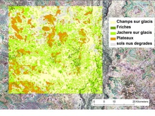 Spatio-temporal analyses of primary production