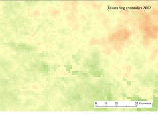 Spatio-temporal analyses of primary production