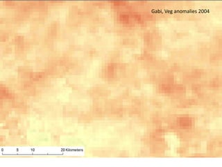 Spatio-temporal analyses of primary production