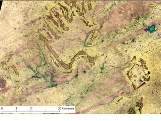 Spatio-temporal analyses of primary production