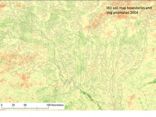 Spatio-temporal analyses of primary production