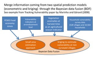 Spatio-temporal analyses of primary production