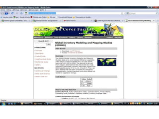 Spatio-temporal analyses of primary production