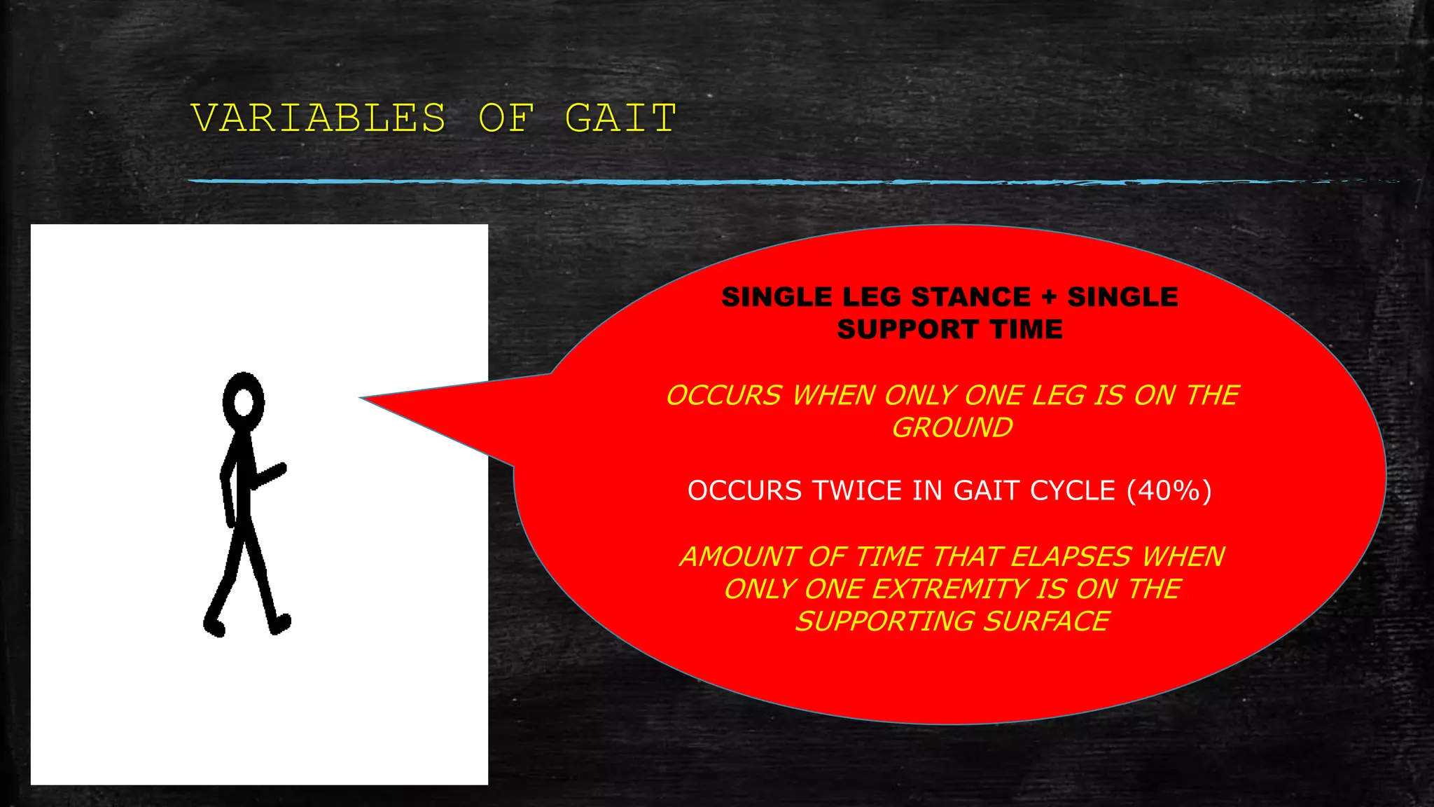 VARIABLES OF GAIT
SINGLE LEG STANCE + SINGLE
SUPPORT TIME
OCCURS WHEN ONLY ONE LEG IS ON THE
GROUND
OCCURS TWICE IN GAIT CYCLE (40%)
AMOUNT OF TIME THAT ELAPSES WHEN
ONLY ONE EXTREMITY IS ON THE
SUPPORTING SURFACE
 