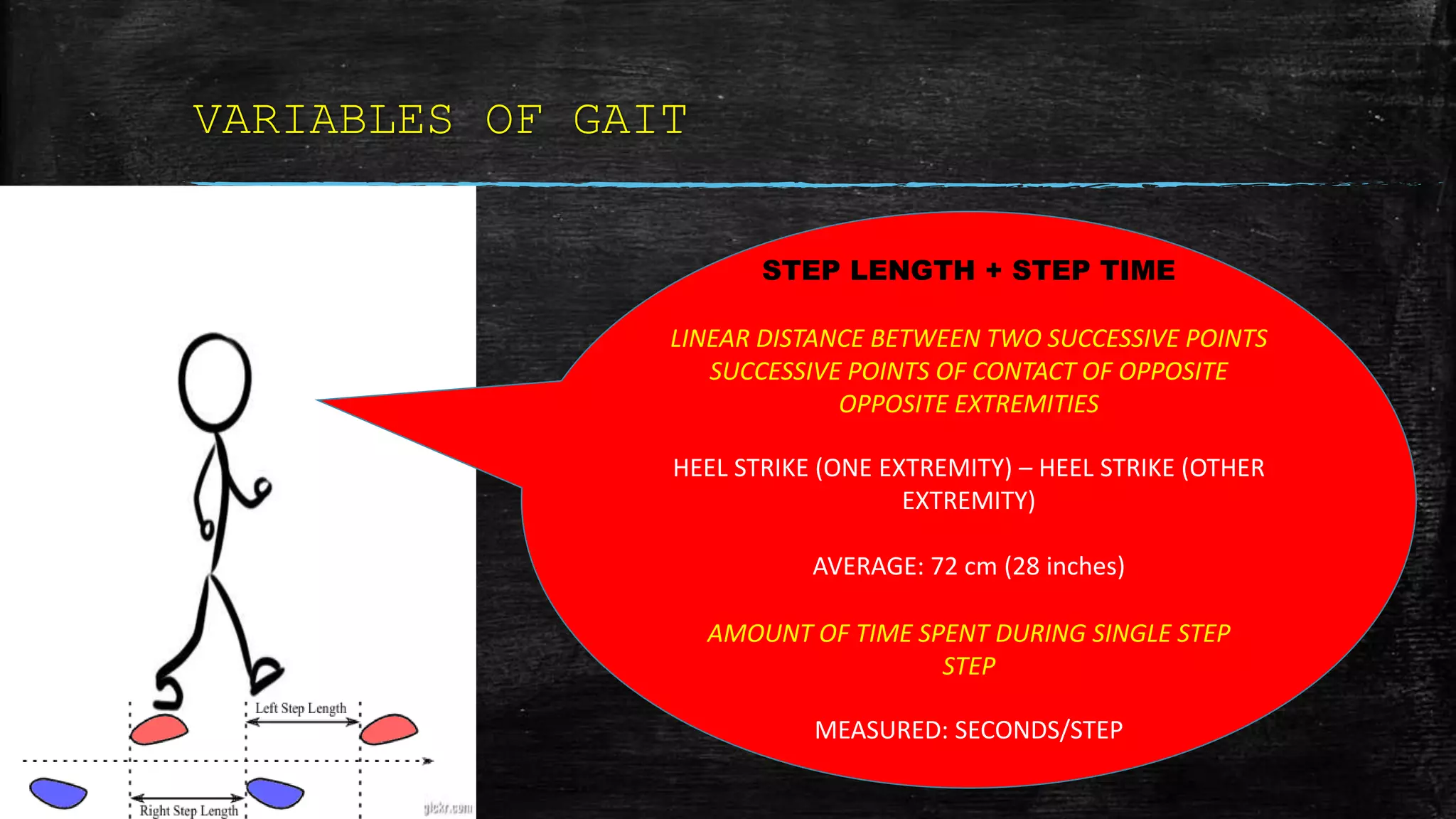 VARIABLES OF GAIT
STEP LENGTH + STEP TIME
LINEAR DISTANCE BETWEEN TWO SUCCESSIVE POINTS
SUCCESSIVE POINTS OF CONTACT OF OPPOSITE
OPPOSITE EXTREMITIES
HEEL STRIKE (ONE EXTREMITY) – HEEL STRIKE (OTHER
EXTREMITY)
AVERAGE: 72 cm (28 inches)
AMOUNT OF TIME SPENT DURING SINGLE STEP
STEP
MEASURED: SECONDS/STEP
 