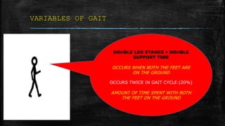 VARIABLES OF GAIT
DOUBLE LEG STANCE + DOUBLE
SUPPORT TIME
OCCURS WHEN BOTH THE FEET ARE
ON THE GROUND
OCCURS TWICE IN GAIT CYCLE (20%)
AMOUNT OF TIME SPENT WITH BOTH
THE FEET ON THE GROUND
 