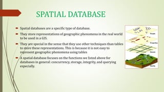 Spatial Database and Database Management System | PPT
