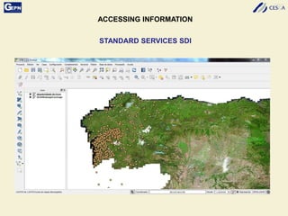 STANDARD SERVICES SDI
ACCESSING INFORMATION
 