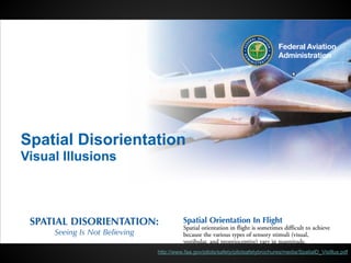 Spatial Disorientation | PDF