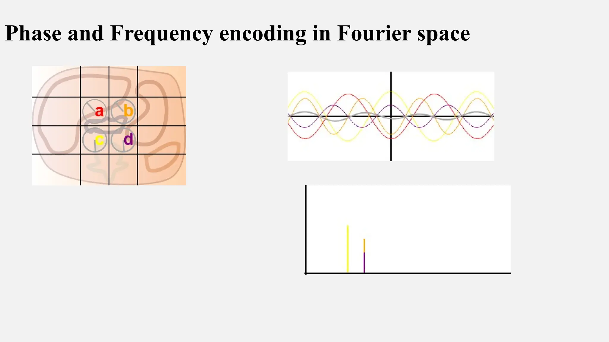 Phase and Frequency encoding in Fourier space
 