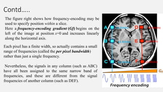 Contd…..
The figure right shows how frequency-encoding may be
used to specify position within a slice.
Here a frequency-encoding gradient (Gf) begins on the
left of the image at position x=0 and increases linearly
along the horizontal axis.
Each pixel has a finite width, so actually contains a small
range of frequencies (called the per pixel bandwidth)
rather than just a single frequency.
Nevertheless, the signals in any column (such as ABC)
have all been assigned to the same narrow band of
frequencies, and these are different from the signal
frequencies of another column (such as DEF).
63.89MHz
63.89MHz
63.89MHz
63.94MHz
63.94MHz
63.94MHz
 