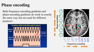 Phase encoding
Both frequency-encoding gradients and
phase-encoding gradients do work in exactly
the same way, but are used for different
purposes.
 