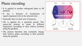 Phase encoding
• It is applied in another orthogonal plane to SS
gradient.
• It has a function of localization of
signal originated with in the selected slice .
• Generally done in short axis of anatomy .
• GP, is applied for a specified period. This
causes the protons to rotate at different
frequencies according to their relative position
along the gradient.
• The protons therefore also constantly change
their relative phase according to their position
along the gradient
 