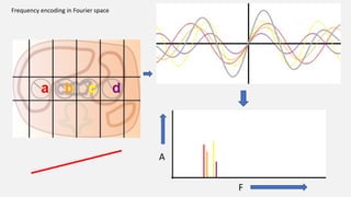 A
F
Frequency encoding in Fourier space
 
