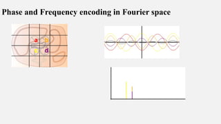 Phase and Frequency encoding in Fourier space
 