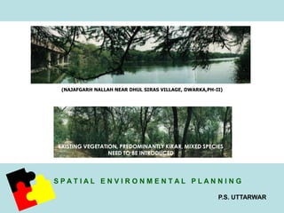 (NAJAFGARH NALLAH NEAR DHUL SIRAS VILLAGE, DWARKA,PH-II) 
EXISTING VEGETATION, PREDOMINANTLY KIKAR, MIXED SPECIES 
S P A T I A L E N V I R O N M E N T A L P L A N N I N G 
P.S. UTTARWAR 
NEED TO BE INTRODUCED 
 