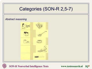 Categories (SON-R 2,5-7)

Abstract reasoning
 