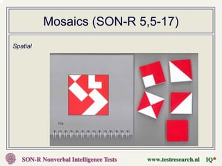 Mosaics (SON-R 5,5-17)
Spatial
 