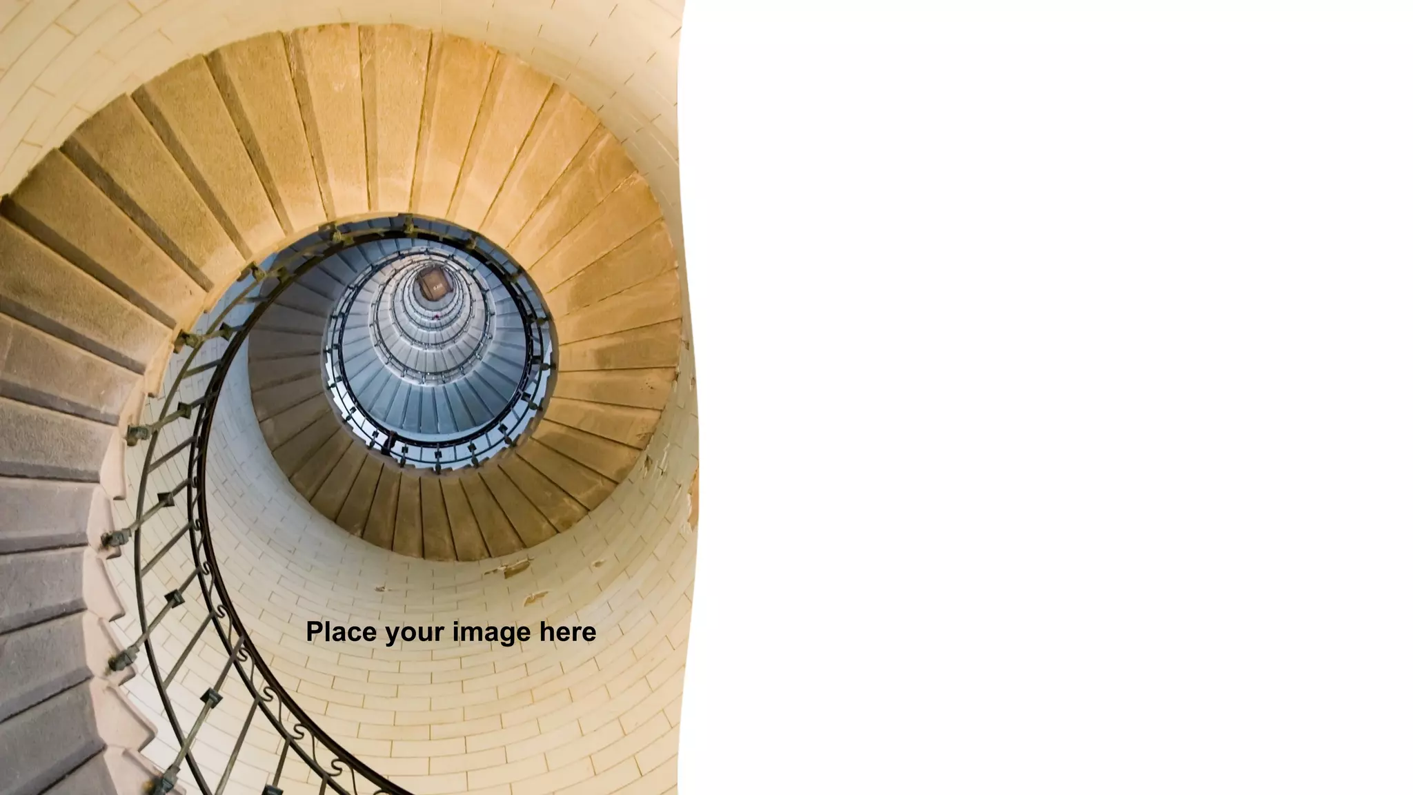 Place your image here
 