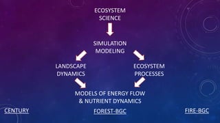 Spatial models of energy flow and nutrient dynamics | PPTX