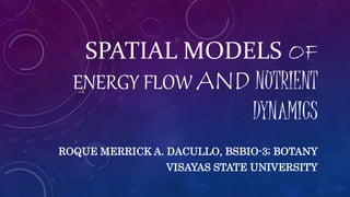 SPATIAL MODELS OF
ENERGY FLOW AND NUTRIENT
DYNAMICS
ROQUE MERRICK A. DACULLO, BSBIO-3; BOTANY
VISAYAS STATE UNIVERSITY
 