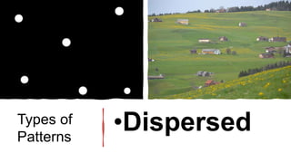 Dispered Pattern Spatial patterns activity | PPTX