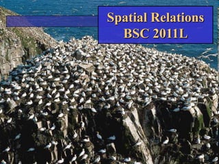 Spatial RelationsBSC 2011L 