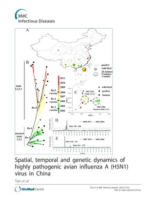 Spatial, temporal and genetic dynamics of
highly pathogenic avian influenza A (H5N1)
virus in China
Tian et al.
Tian et al. BMC Infectious Diseases (2015) 15:54
DOI 10.1186/s12879-015-0770-x
 
