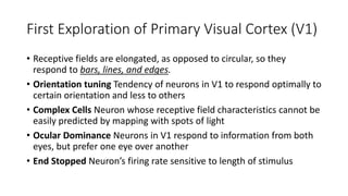 Spatial vision | PPTX