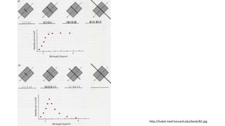 Spatial vision | PPTX