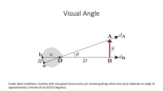 Spatial vision | PPTX