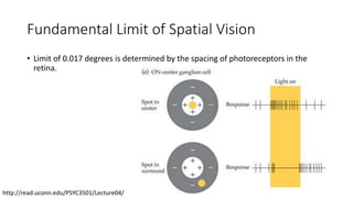 Spatial vision | PPTX