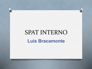 SPAT INTERNO
Luis Bracamonte
 
