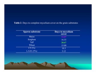 Table 2. Days to complete mycelium cover on the grain substrates
Spawn substrate
Maize
Sorghum
Teff
Wheat
CV (%)
L.S.D. (5%)
Days to mycelium
cover
12.67
16.33
20.67
15.00
10.3
3.12
 