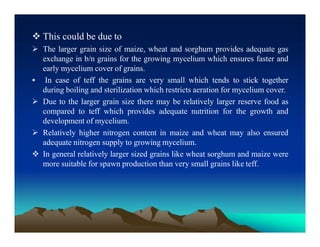  This could be due to
 The larger grain size of maize, wheat and sorghum provides adequate gas
exchange in b/n grains for the growing mycelium which ensures faster and
early mycelium cover of grains.
 In case of teff the grains are very small which tends to stick together
during boiling and sterilization which restricts aeration for mycelium cover.
 Due to the larger grain size there may be relatively larger reserve food as
compared to teff which provides adequate nutrition for the growth and
development of mycelium.
 Relatively higher nitrogen content in maize and wheat may also ensured
adequate nitrogen supply to growing mycelium.
 In general relatively larger sized grains like wheat sorghum and maize were
more suitable for spawn production than very small grains like teff.
 