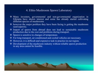 4. Ethio Mushroom Spawn Laboratory
 Many investors, governmental and non-governmental organization in
Ethiopia have shown interest and some has already started cultivating
different species of mushrooms
 however the major problem they have been facing is getting the mushroom
seed (spawn).
 Import of spawn from abroad does not lead to sustainable mushroom
production due to the cost and problems during transport.
 Spawn is sensitive to changes of temperature.
 For long transport, air conditioned and cooled vehicles are necessary.
 However, it is difficult and expensive task to practice in our region.
 Development of the mushroom industry without reliable spawn production
in any area cannot be feasible.
 