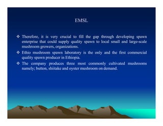 EMSL
 Therefore, it is very crucial to fill the gap through developing spawn
enterprise that could supply quality spawn to local small and large-scale
mushroom growers, organizations.
 Ethio mushroom spawn laboratory is the only and the first commercial
quality spawn producer in Ethiopia.
 The company produces three most commonly cultivated mushrooms
namely; button, shiitake and oyster mushroom on demand.
 