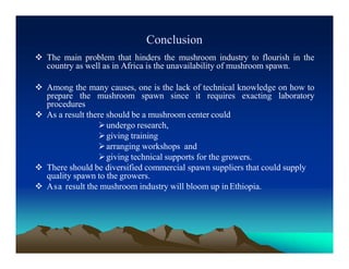 Conclusion
 The main problem that hinders the mushroom industry to flourish in the
country as well as in Africa is the unavailability of mushroom spawn.
 Among the many causes, one is the lack of technical knowledge on how to
prepare the mushroom spawn since it requires exacting laboratory
procedures
 As a result there should be a mushroom center could
undergo research,
giving training
arranging workshops and
giving technical supports for the growers.
 There should be diversified commercial spawn suppliers that could supply
quality spawn to the growers.
 Asa result the mushroom industry will bloom up inEthiopia.
 