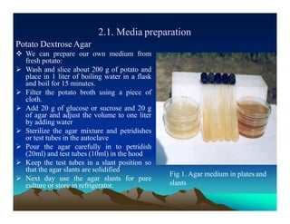 2.1. Media preparation
Potato Dextrose Agar
 We can prepare our own medium from
fresh potato:
 Wash and slice about 200 g of potato and
place in 1 liter of boiling water in a flask
and boil for 15 minutes.
 Filter the potato broth using a piece of
cloth.
 Add 20 g of glucose or sucrose and 20 g
of agar and adjust the volume to one liter
by adding water
 Sterilize the agar mixture and petridishes
or test tubes in the autoclave
 Pour the agar carefully in to petridish
(20ml) and test tubes (10ml) in the hood
 Keep the test tubes in a slant position so
that the agar slants are solidified
 Next day use the agar slants for pure
culture or store in refrigerator.
Fig 1. Agar medium in plates and
slants
 