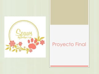 Proyecto Final
 