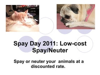Spay Day 2011: Low-cost Spay/Neuter Spay or neuter your  animals at a discounted rate.   