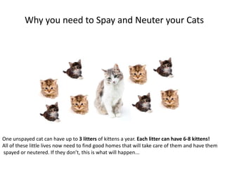 Why you need to Spay and Neuter your Cats




One unspayed cat can have up to 3 litters of kittens a year. Each litter can have 6-8 kittens!
All of these little lives now need to find good homes that will take care of them and have them
spayed or neutered. If they don’t, this is what will happen...
 